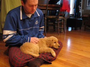 Sophie as a puppy with her puppy-raiser family.