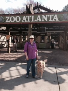 Let's Go To the Zoo!