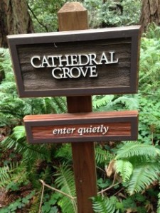 A sign which reads "Cathedral Grove-enter quietly"