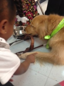 Not so sure about petting Sophie...