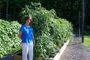 Trina in the tomato patch